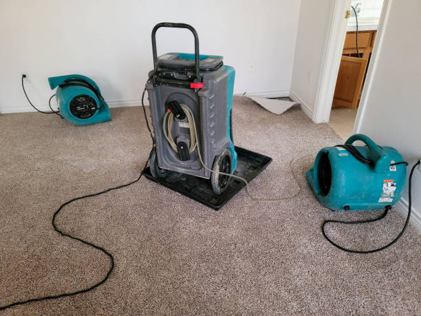 Best Flood damage cleanup  in Madison, IN