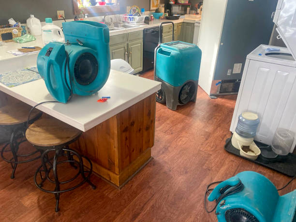 Best Water damage restoration near me  in Madison, IN